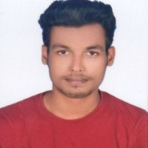 Rajan Kumar Sharma-Freelancer in Samastipur,India