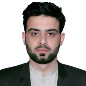 Wajid Hussain-Freelancer in Islamabad,Pakistan