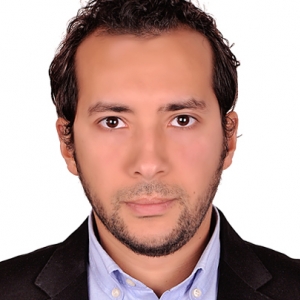 Mohamed Ismail-Freelancer in Cairo,Egypt
