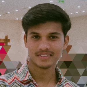 Ayan Shaikh-Freelancer in Indore,India