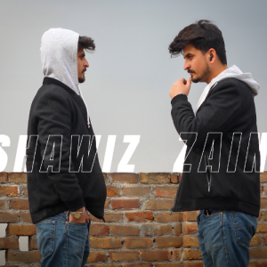 Shawiz Zain-Freelancer in Islamabad,Pakistan