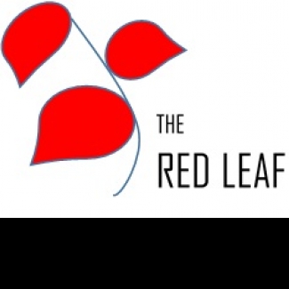 Red Leaf-Freelancer in Jakarta,Indonesia