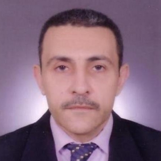 Ibrahim Seif-Freelancer in Cairo,Egypt