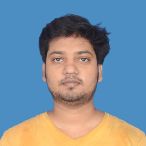 Avinash Kumar-Freelancer in Patna,India