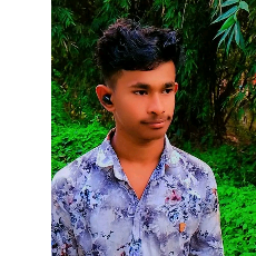 Riyad Islam-Freelancer in Gopalgonj,Bangladesh