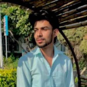 Parikshit Verma-Freelancer in Hisar,India