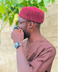 Usman Shuaibu Abubakar-Freelancer in Kano,Nigeria