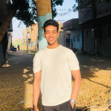 Muhammad Amer-Freelancer in Luxor,Egypt