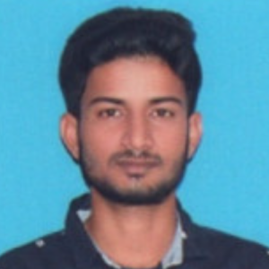 Nabi Rasool Shaik-Freelancer in Nandyal,India