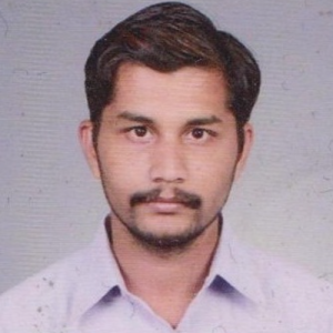 Rakesh Menasi-Freelancer in Bengaluru,India