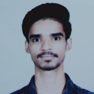Mohd Rashid Ansari-Freelancer in Delhi,India