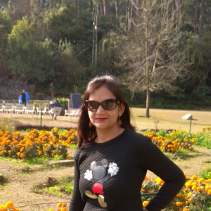 Meenu Singhal-Freelancer in ,India