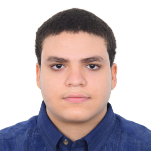 Mahmoud Mahran-Freelancer in Dubai,UAE