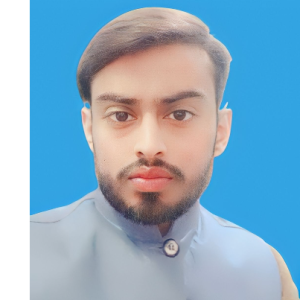 M Ahmad Siddiqui-Freelancer in Sargodha,Pakistan