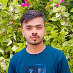 Chayon Biswas-Freelancer in ,Bangladesh