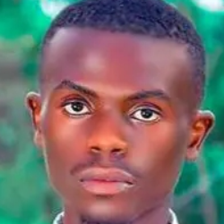 brian mogeni-Freelancer in nyamira,Kenya