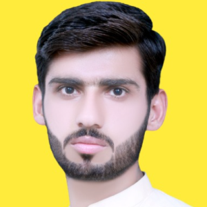 Ali Hussain-Freelancer in Rahim Yar Khan,Pakistan