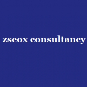 Zseox Consultancy-Freelancer in Chennai,India