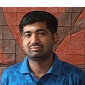 Ravi Shankar Narayanan-Freelancer in Chennai,India