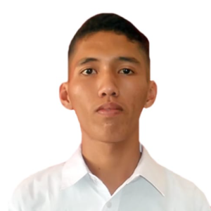 Josua Ronaldo-Freelancer in Medan,Indonesia