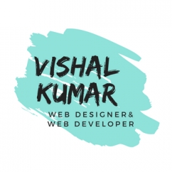 Vishal Kumar-Freelancer in Jaipur,India