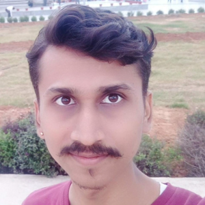 Vinay Kumar-Freelancer in Mysore,India