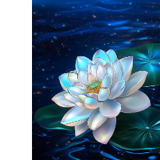 Jayaweera Sunil-Freelancer in galgamuwa, sri Lanka.,Sri Lanka