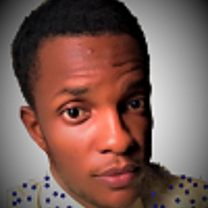 Ahmad Hamisu-Freelancer in Kano,Nigeria