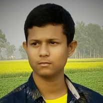 Sakib Faisal-Freelancer in Bogra,Bangladesh