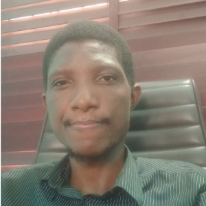 Godwin Olokor-Freelancer in Port Harcourt,Nigeria
