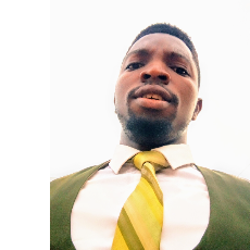 Ayomide Shogbesan-Freelancer in Lagos,Nigeria