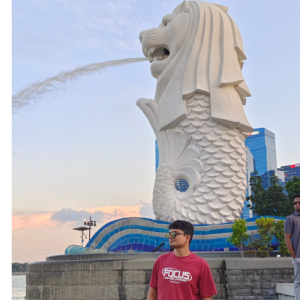 Koushik Reddy Somala-Freelancer in Singapore,India
