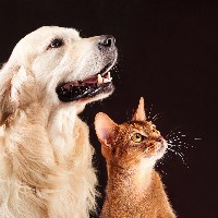 Washo Glen-Freelancer in Nairobi,Kenya