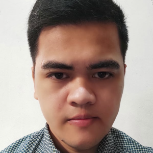 Orlando Barrozo-Freelancer in Mandaluyong City,Philippines