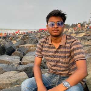 Rajdeep Paul-Freelancer in Kolkata,India