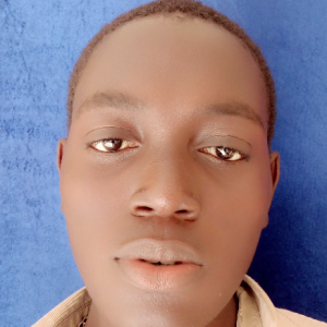 Akanji Ayodele-Freelancer in Port Harcourt,Nigeria