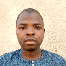 Abdulmajid Mudassir-Freelancer in Kano,Nigeria