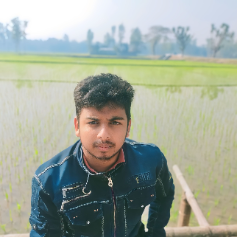 Md Jahid Hasan-Freelancer in ,Bangladesh