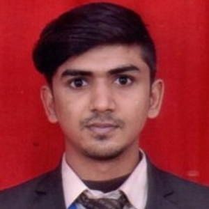 Raja Raj-Freelancer in Patna,India
