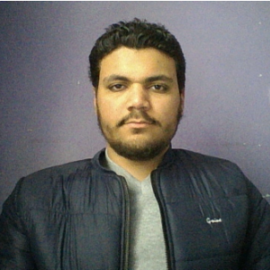 Ahmed Alblawe-Freelancer in Cairo,Egypt