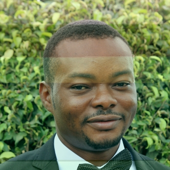 Uyi Gideon-Freelancer in Benin City,Nigeria