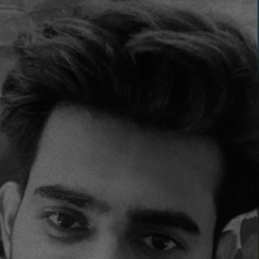 Israil-Freelancer in New delhi,India
