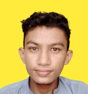 Mohammad Talha-Freelancer in Rahim Yar Khan,Pakistan