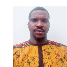 Ugochukwu Henry-Freelancer in Owerri,Nigeria
