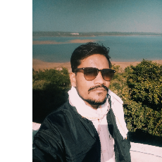 Dileep Kushwah-Freelancer in Bhopal Division,India