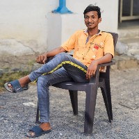 Shaik Mohammed Ali-Freelancer in chilakaluripeta,India