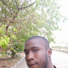 Gideon Duruanyanwu-Freelancer in Nasarrawa,Nigeria