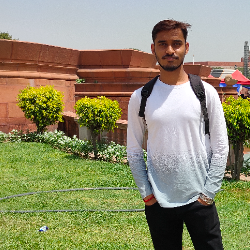 Ankit Mishra-Freelancer in Delhi,India