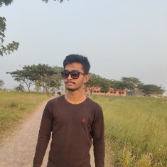 Mahadi Hassan-Freelancer in Demra,Bangladesh