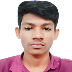 Mr Hasan Hawladar-Freelancer in Bhola,Bangladesh